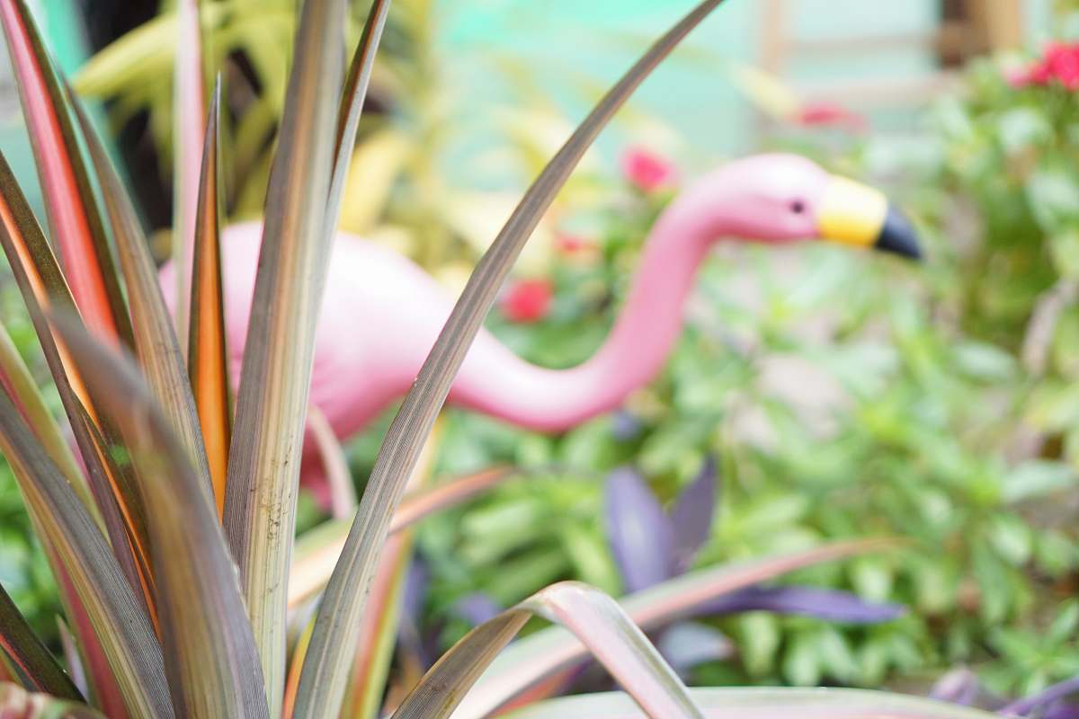 united states flamingo decoy animal